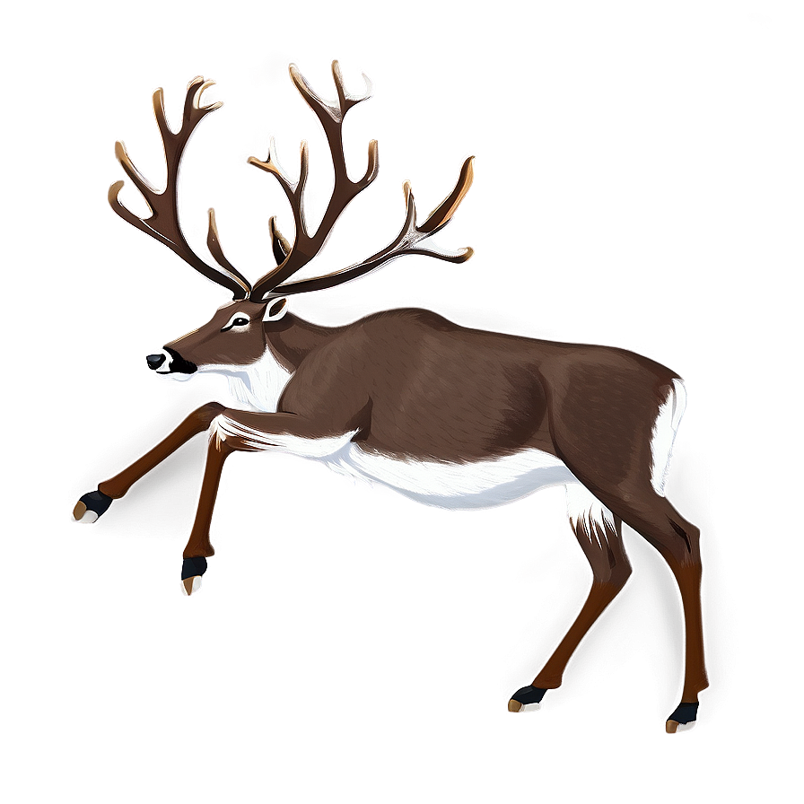 Caribou Fighting With Antlers Png 06292024 PNG Image