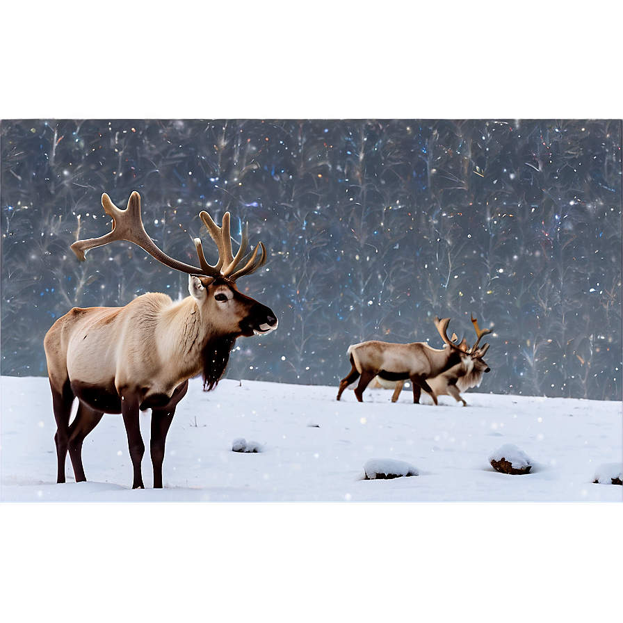 Caribou In Winter Wonderland Png 81 PNG Image