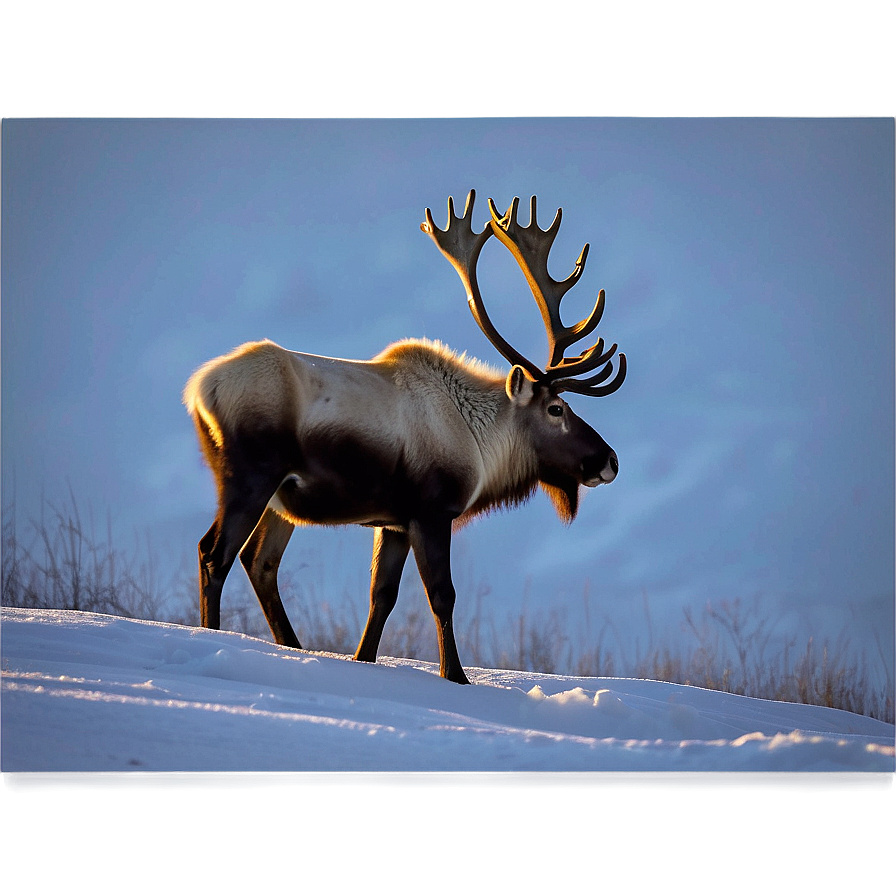 Caribou On Mountain Ridge Png Qdu PNG Image