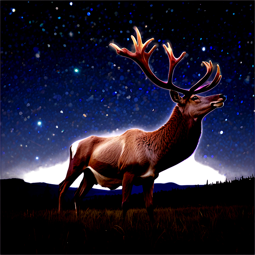 Caribou Under Starry Sky Png Mnn PNG Image