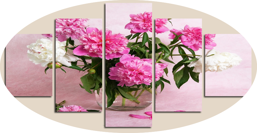 Carnation Canvas Art Panels PNG Image