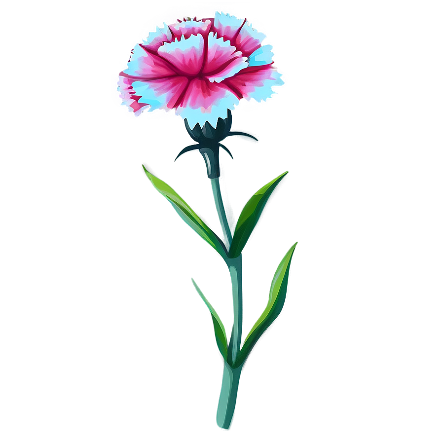 Carnation Flower Drawing Png 05252024 PNG Image