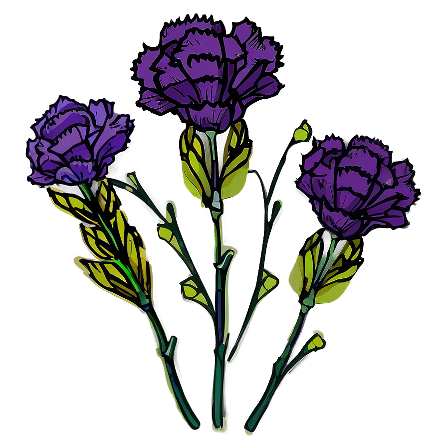 Carnation Flower Drawing Png Vpq48 PNG Image