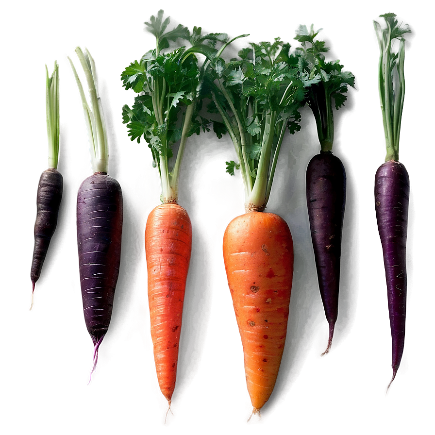 Carrot Julienne Png 6 PNG Image