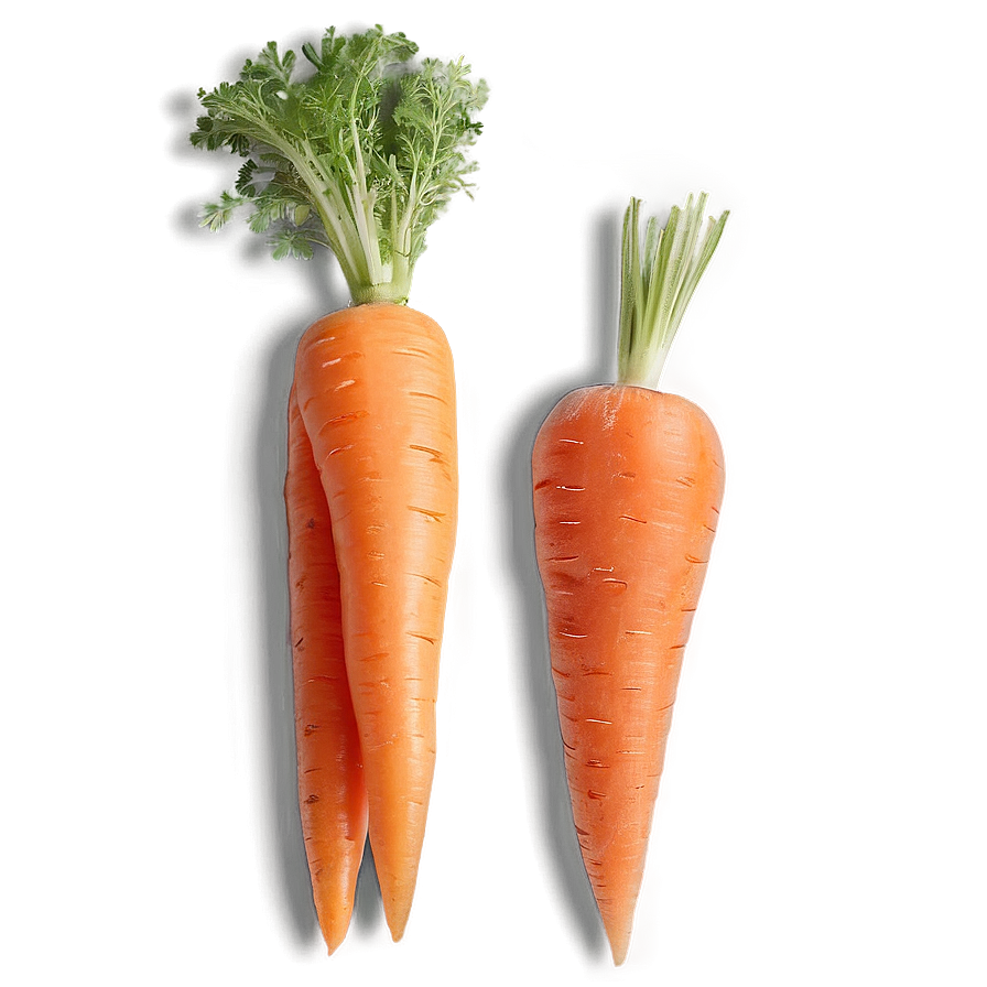 Carrot With Face Png Gdl82 PNG Image