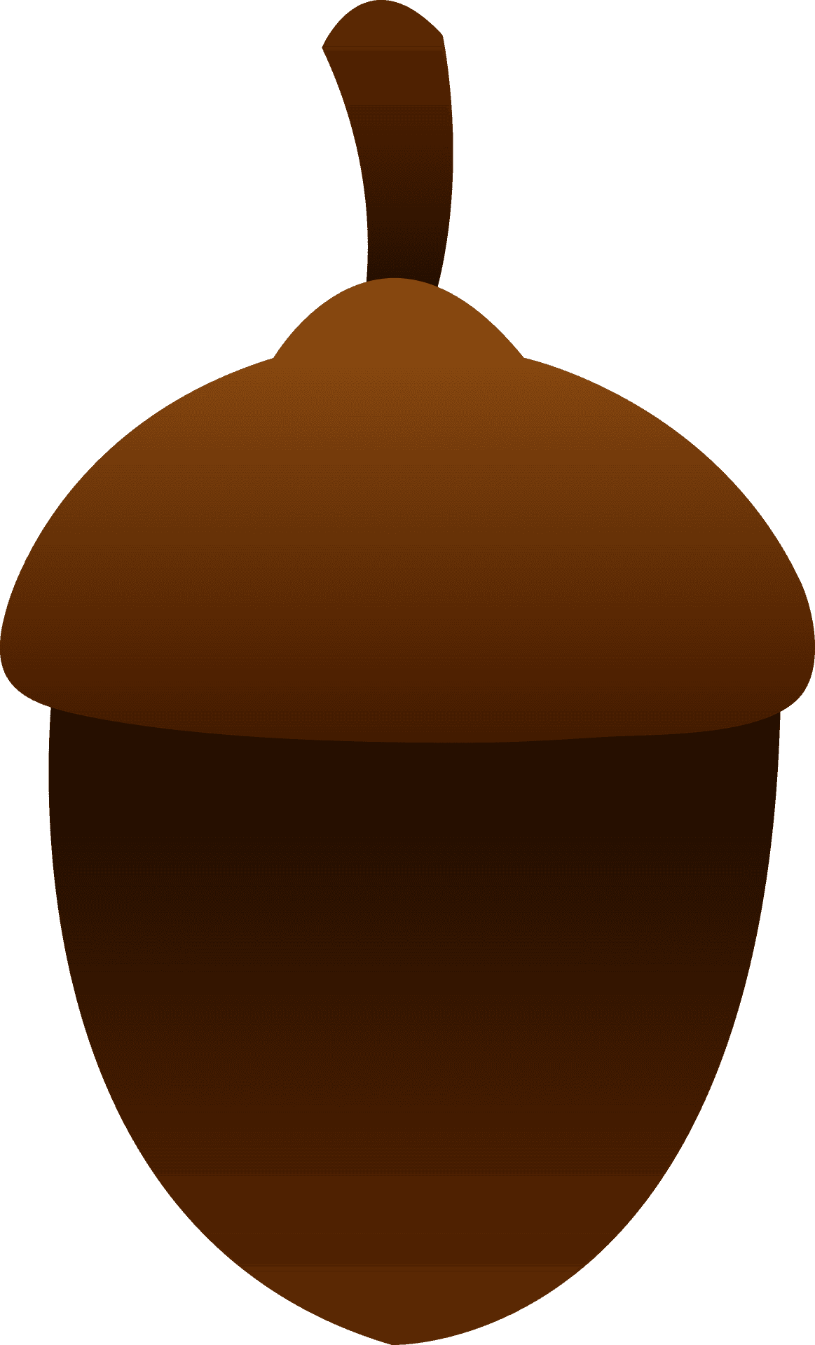 Cartoon Acorn Illustration PNG Image