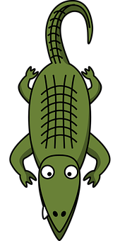 Cartoon Alligator Top View Illustration PNG Image