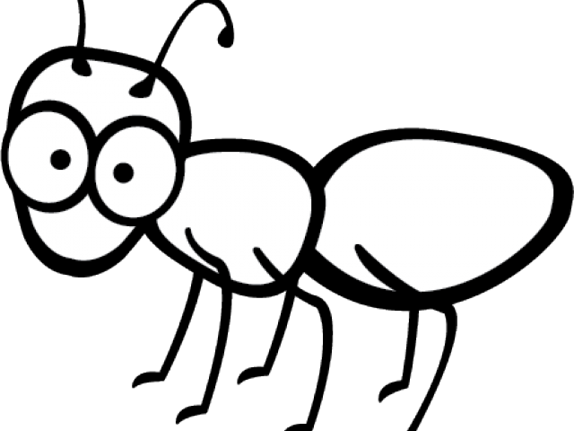 Cartoon Ant Illustration PNG Image