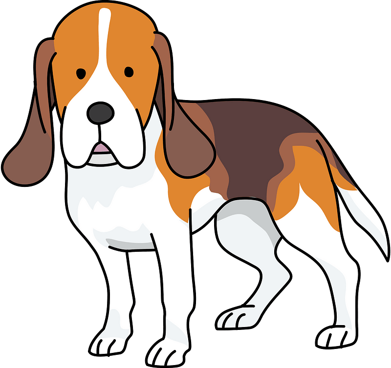 Cartoon Beagle Standing PNG Image