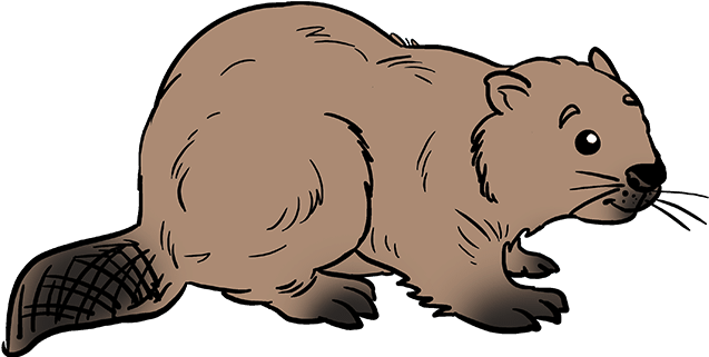 Cartoon Beaver Illustration PNG Image