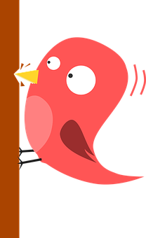 Cartoon Bird Peeking PNG Image