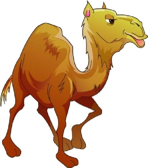 Cartoon Camel Illustration PNG Image