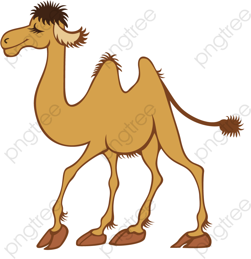 Cartoon Camel Illustration PNG Image