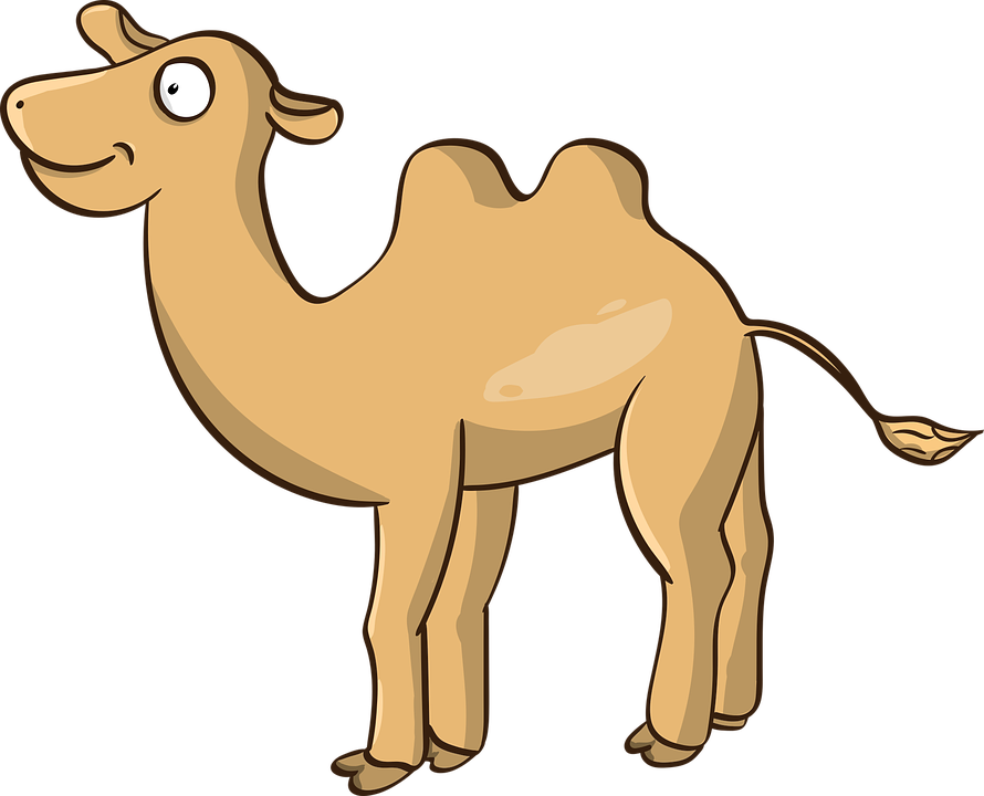 Cartoon Camel Illustration PNG Image