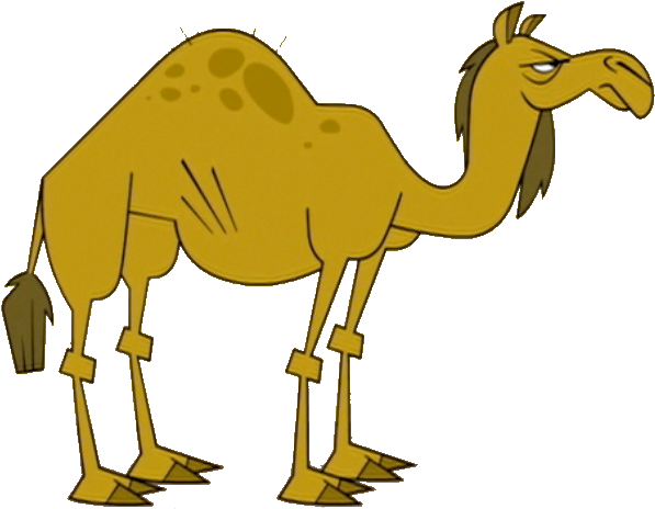 Cartoon Camel Illustration PNG Image