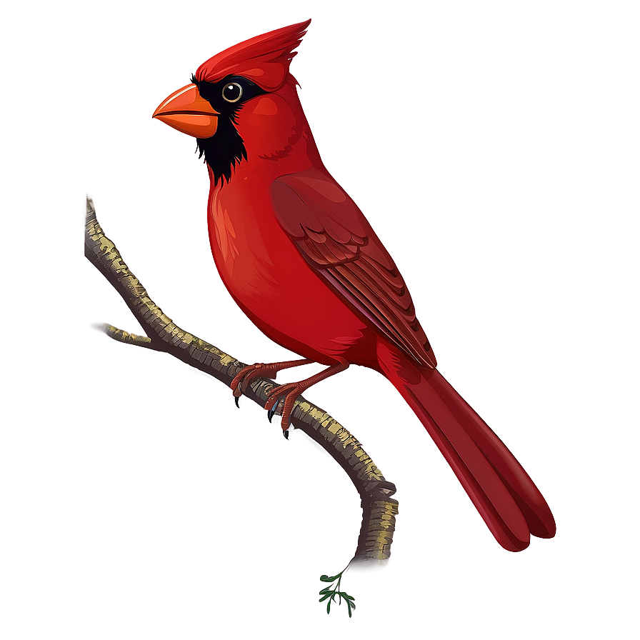 Cartoon Cardinal Bird Png Kwb PNG Image