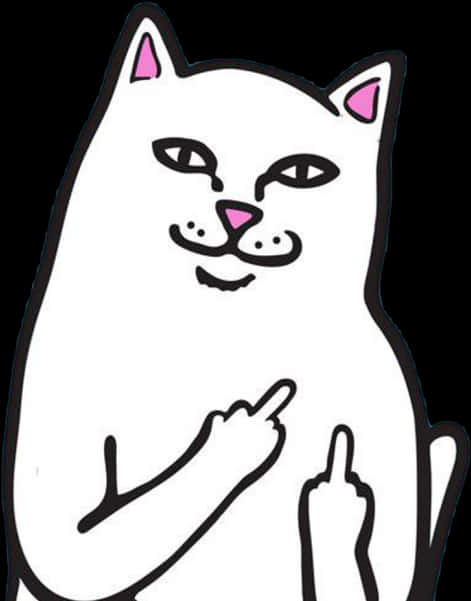 Cartoon Cat Giving Middle Finger PNG Image