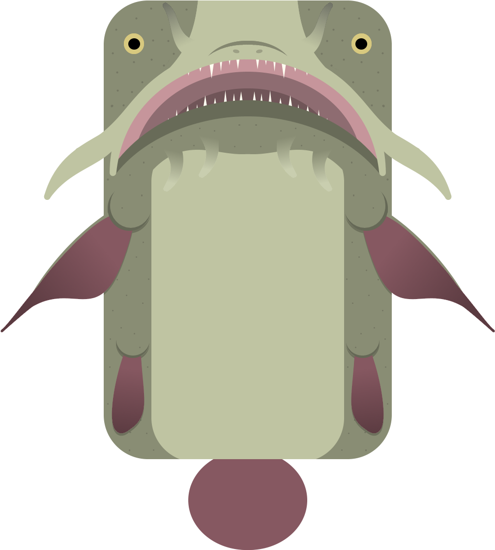 Cartoon Catfish Graphic PNG Image