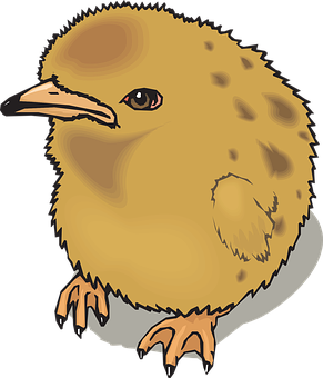 Cartoon Chick Illustration PNG Image