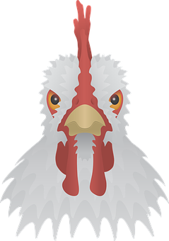 Cartoon Chicken Head Graphic PNG Image