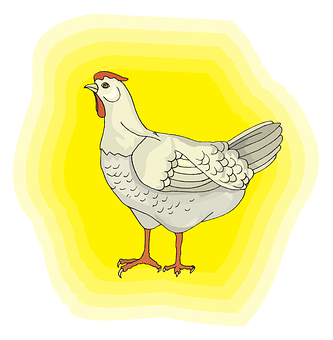 Cartoon Chicken Illustration PNG Image