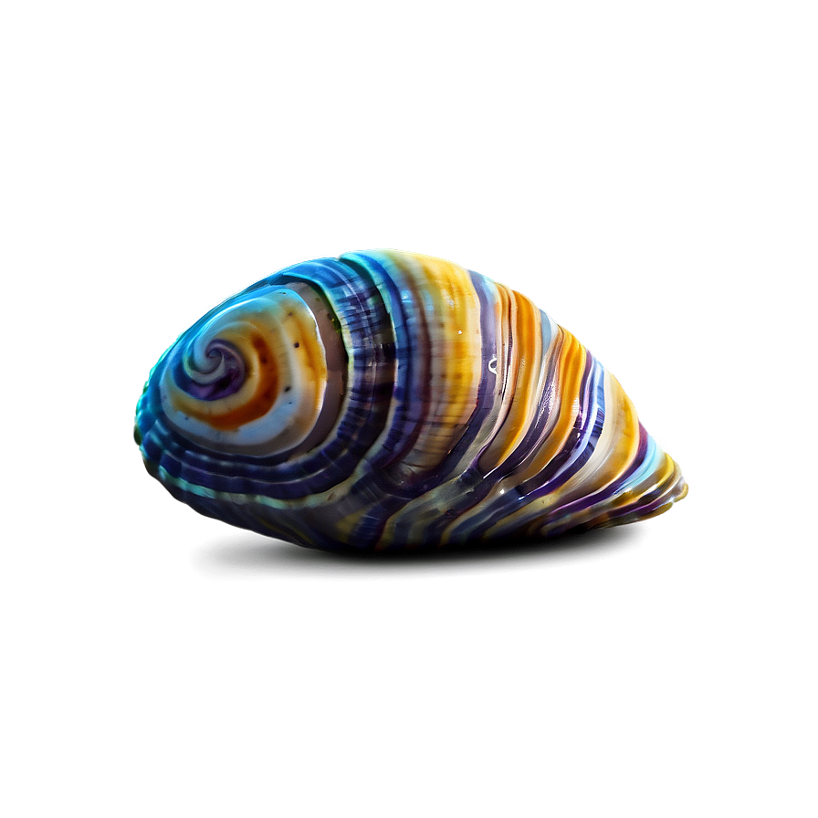 Cartoon Clam Png Rsp52 PNG Image