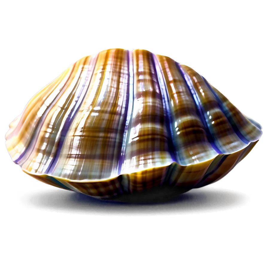 Cartoon Clam Shell Png Sfy11 PNG Image