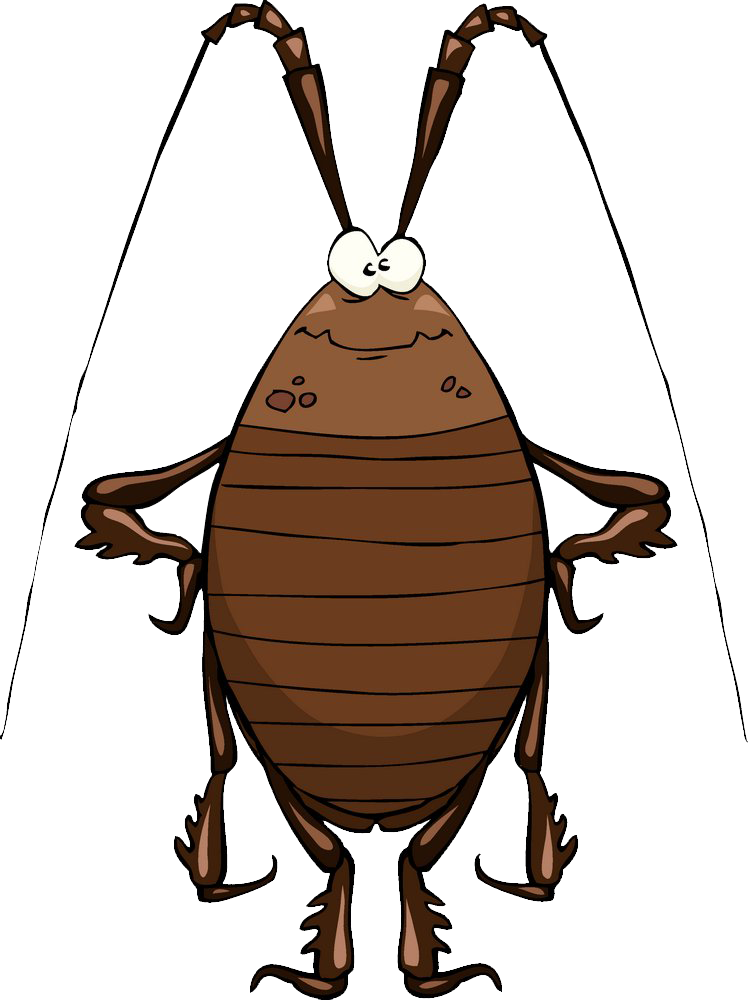 Cartoon Cockroach Standing PNG Image