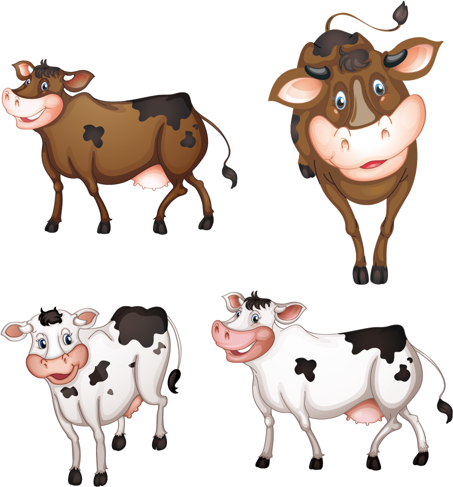 Cartoon Cows Collection PNG Image