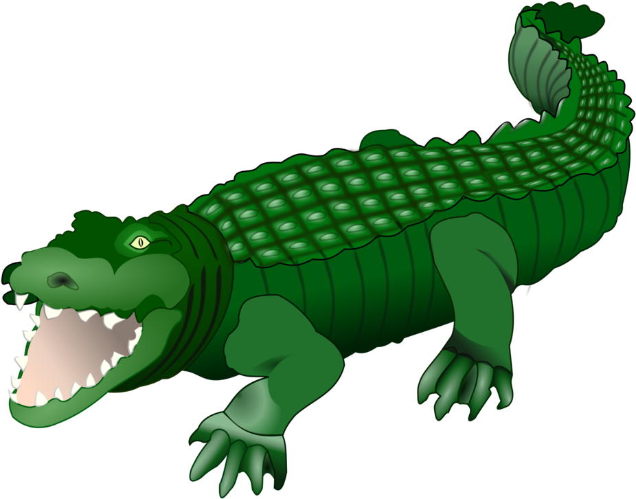 Cartoon Crocodile Illustration PNG Image