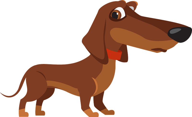 Cartoon Dachshund Standing PNG Image