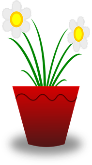 Cartoon Daisiesin Red Pot PNG Image