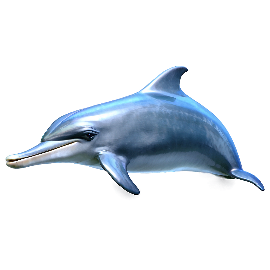 Cartoon Dolphin C PNG Image