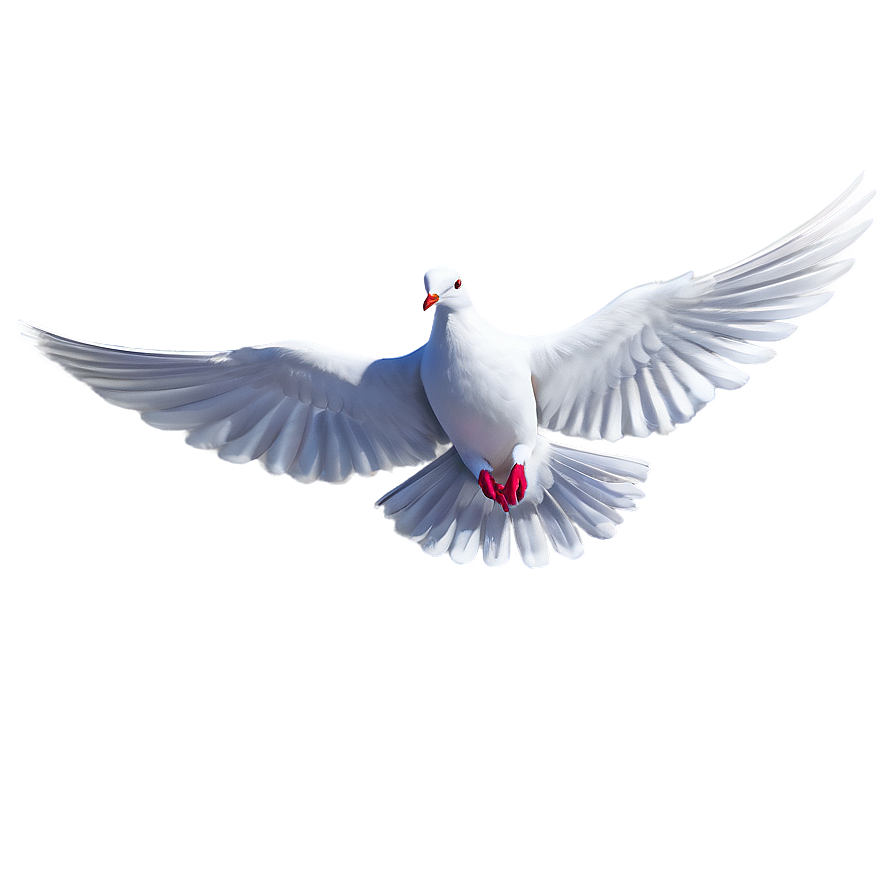 Cartoon Dove Png 05042024 PNG Image