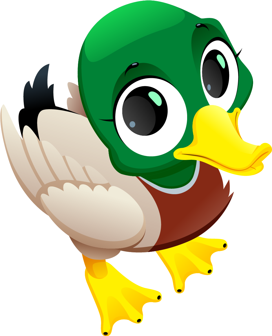 Cartoon Duck Illustration PNG Image