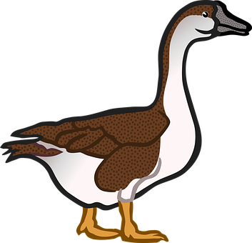 Cartoon Duck Illustration PNG Image