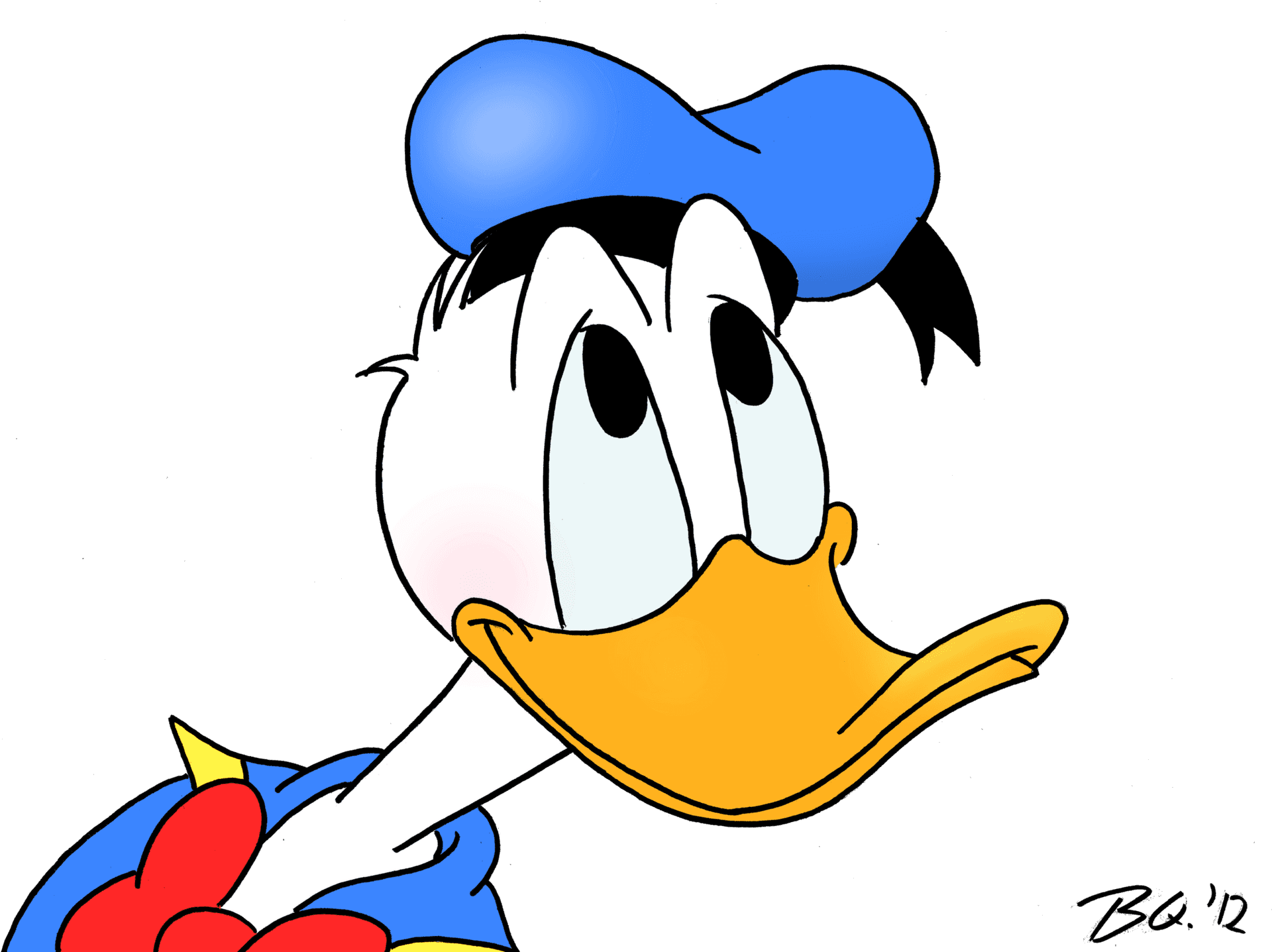 Cartoon Duck Portrait PNG Image