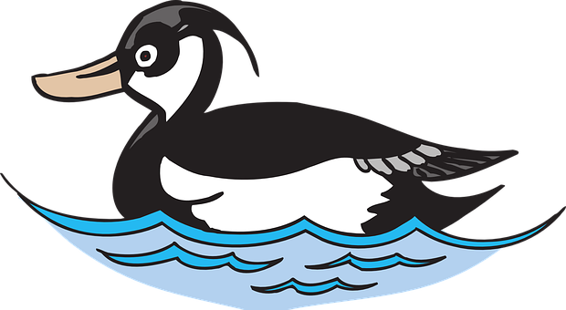 Cartoon Duck Swimming Water PNG Image