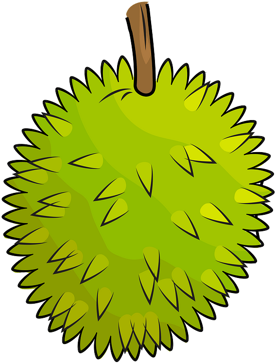 Cartoon Durian Fruit Illustration PNG Image