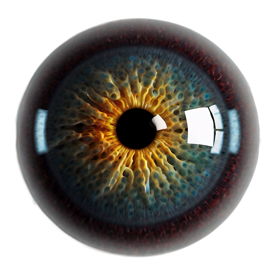 Cartoon Eyeball Png Gva PNG Image