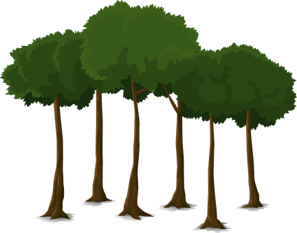 Cartoon Forest Trees Vector PNG Image