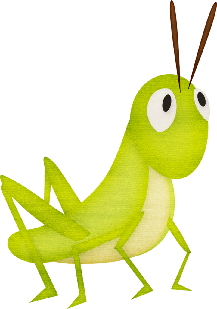 Cartoon Grasshopper Illustration PNG Image