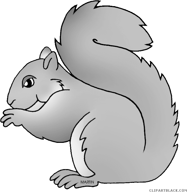 Cartoon_ Gray_ Squirrel_ Illustration.png PNG Image