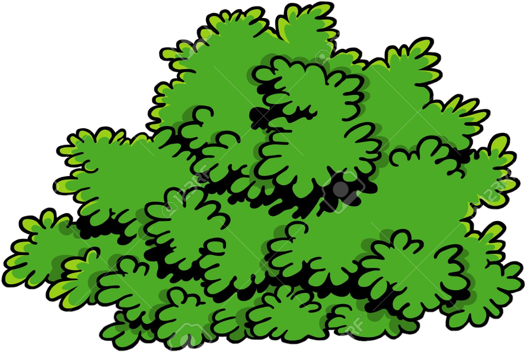 Cartoon Green Shrubbery PNG Image