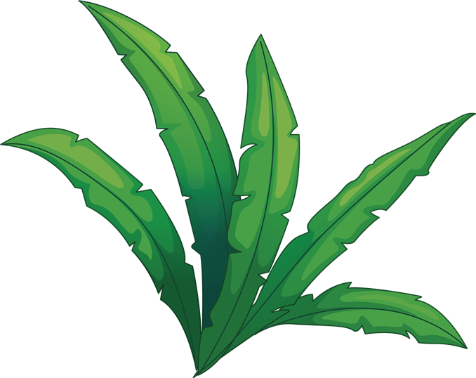 Cartoon Jungle Foliage PNG Image