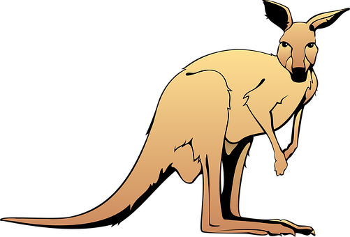 Cartoon Kangaroo Vector PNG Image