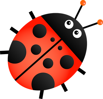 Cartoon Ladybug Graphic PNG Image