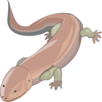 Cartoon Lizard Illustration PNG Image