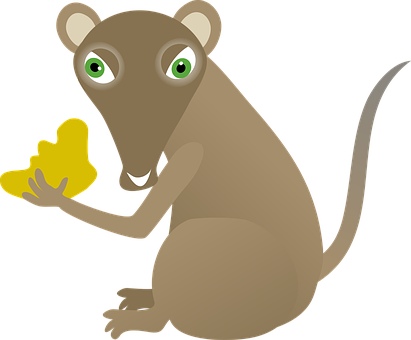 Cartoon Mousewith Cheese PNG Image