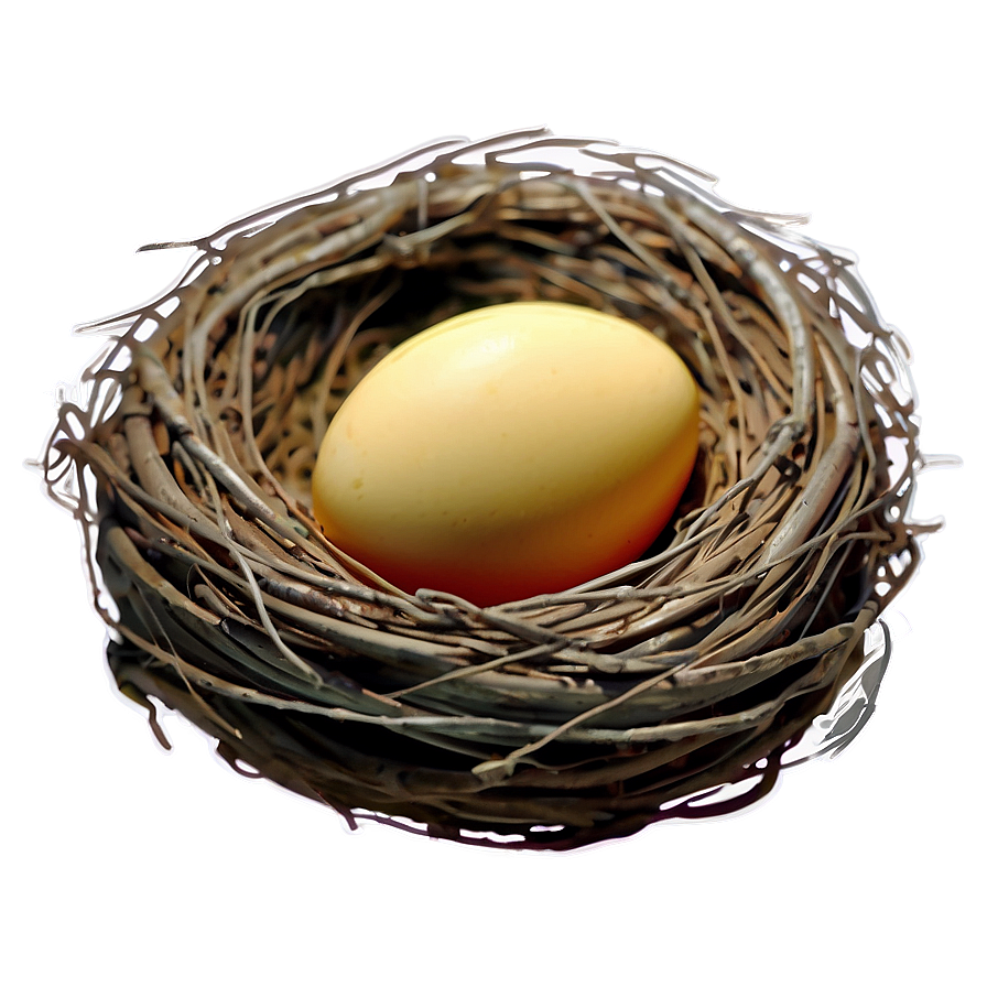 Cartoon Nest Drawing Png 52 PNG Image